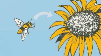 Illustration of bee about to land on flower